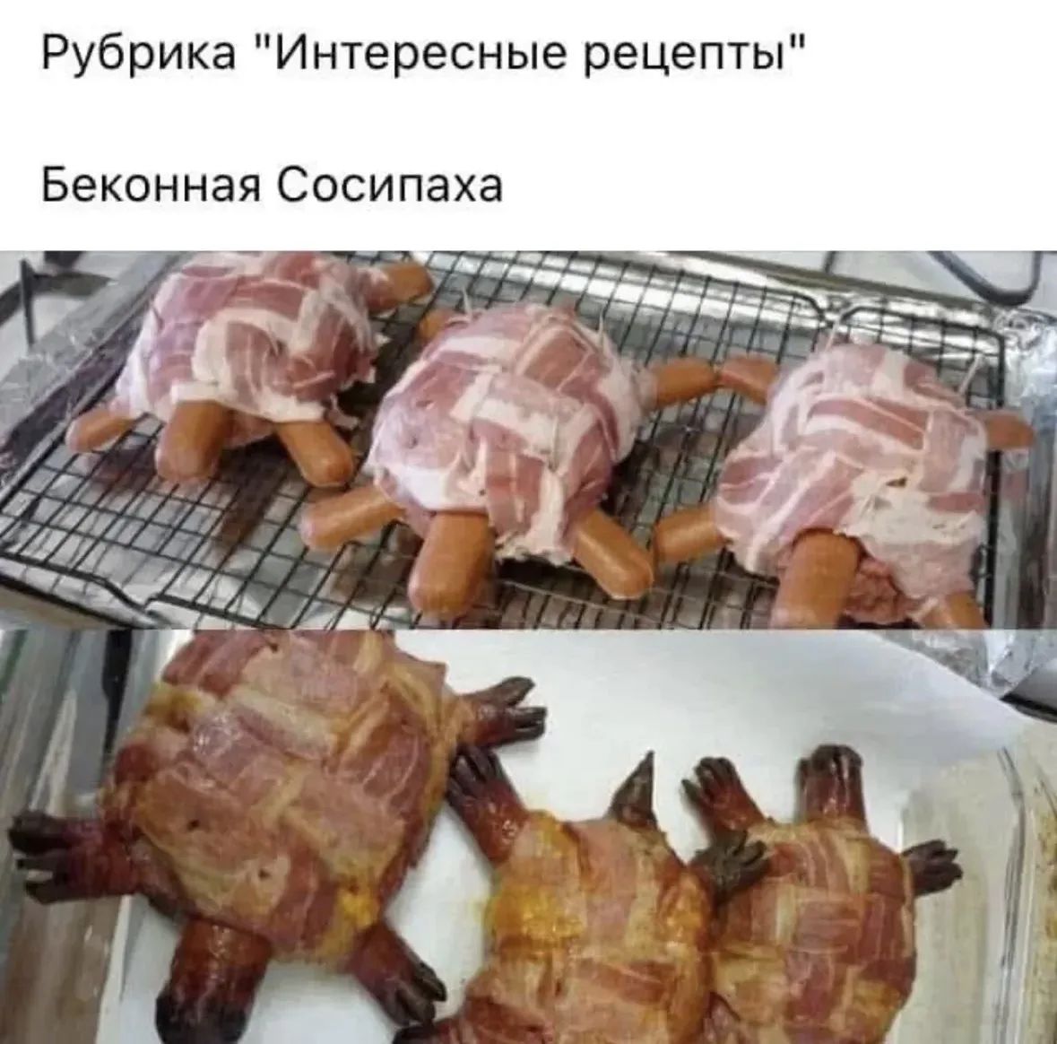 Рубрика 