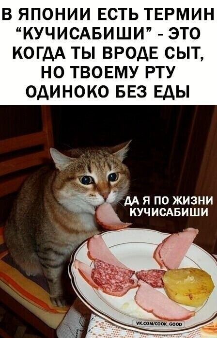 В ЯПОНИИ ЕСТЬ ТЕРМИН “КУЧИСАБИШИ” - ЭТО КОГДА ТЫ ВРОДЕ СЫТ, НО ТВОЕМУ РТУ ОДИНОКО БЕЗ ЕДЫ. ДА Я ПО ЖИЗНИ КУЧИСАБИШИ