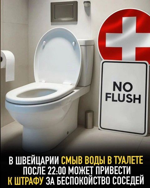 В ШВЕЙЦАРИИ СМЫВ ВОДЫ В ТУАЛЕТЕ ПОСЛЕ 22:00 МОЖЕТ ПРИВЕСТИ К ШТРАФУ ЗА БЕСПОКОЙСТВО СОСЕДЕЙ