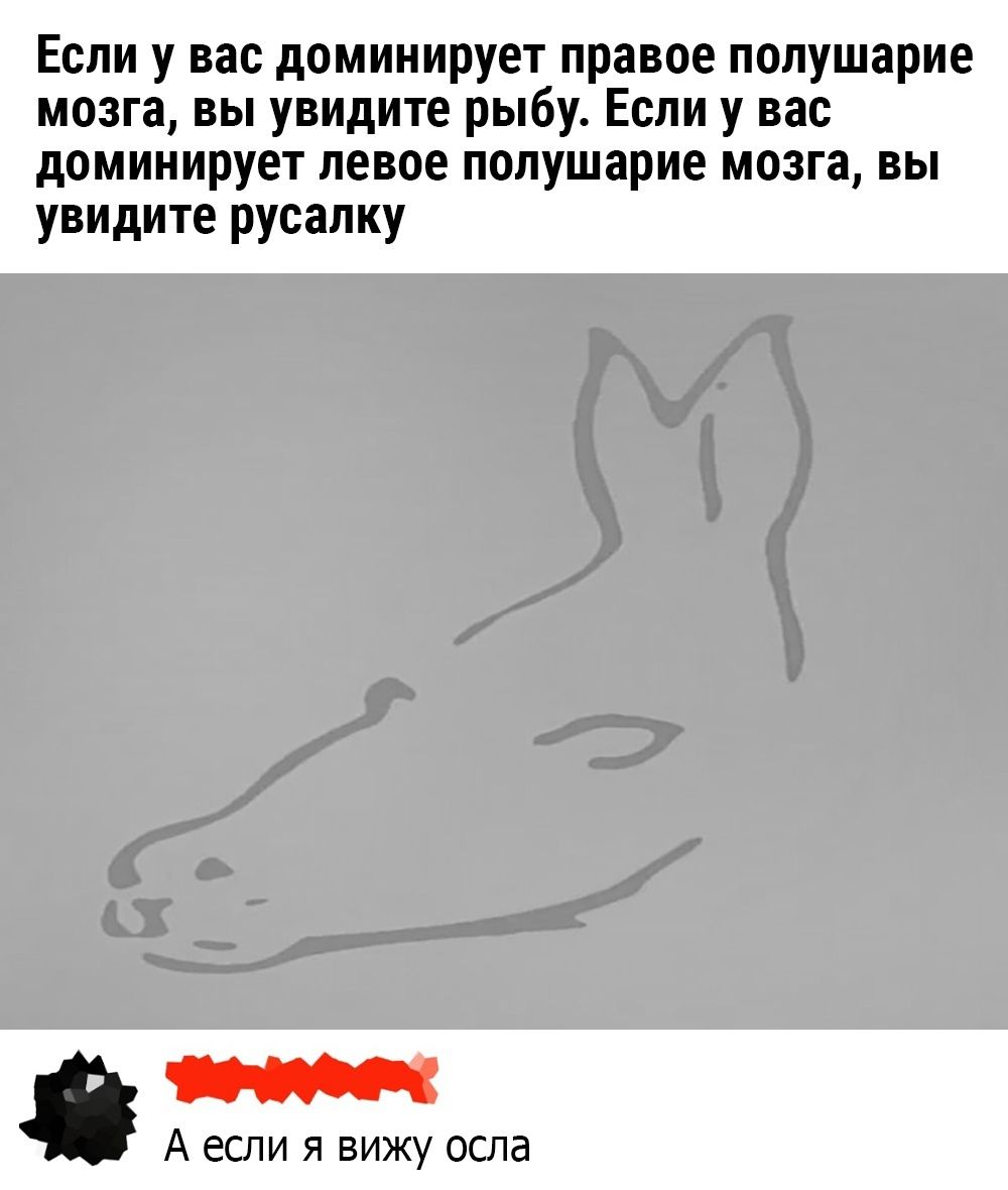 Если у вас доминирует правое полушарие мозга, вы увидите рыбу. Если у вас доминирует левое полушарие мозга, вы увидите русалку. А если я вижу осла