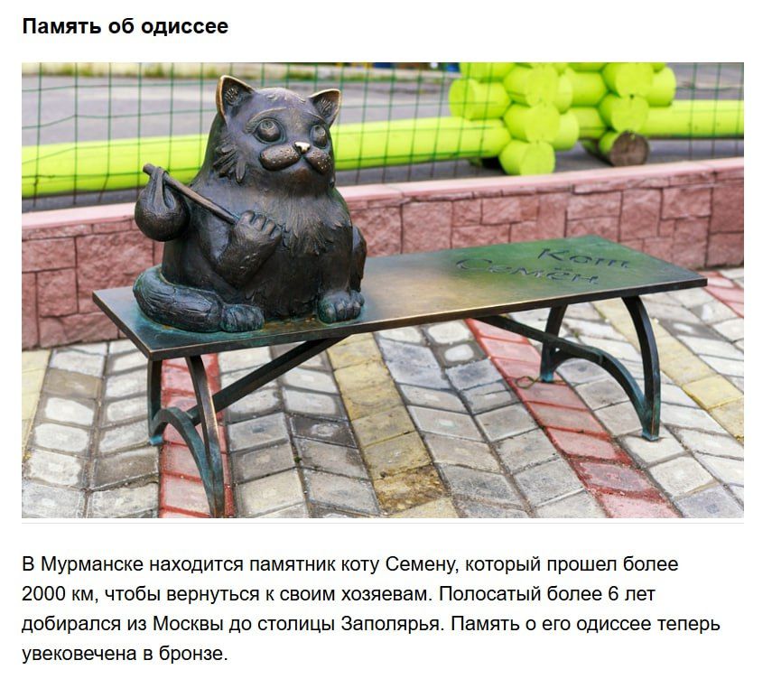 Памятник коту Семену. В Мурманске находится памятник коту Семену, который прошел более 2000 км, чтобы вернуться к своим хозяевам. Полосатый более 6 лет добирался из Москвы до столицы Заполярья. Память о его одиссее теперь увековечена в бронзе.