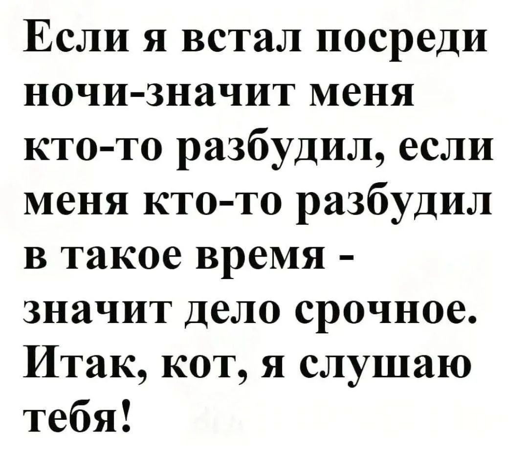 Если я встал посреди ночи-значит меня кто-то разбудил, если меня кто-то разбудил в такое время - значит дело срочное. Итак, кот, я слушаю тебя!