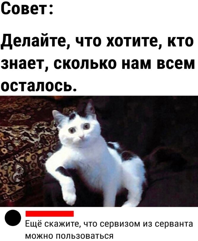 Совет:
Делайте, что хотите, кто знает, сколько нам всем осталось.
Ещё скажите, что сервизом из серванта можно пользоваться