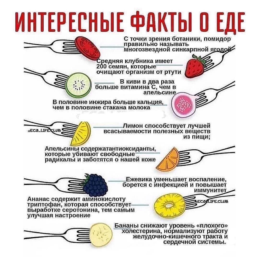 ИНТЕРЕСНЫЕ ФАКТЫ О ЕДЕ
С точки зрения ботаники, помидор правильно называть многозвездной синкарпной ягодой.
Средняя клубника имеет 200 семян, которые очищают организм от ртути.
В киви в два раза больше витамина С, чем в апельсине.
В половине инжира больше кальция, чем в половине стакана молока.
Лимон способствует лучшей всасываемости полезных вещес