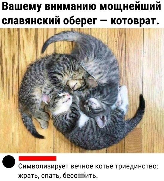 Вашему вниманию мощнейший славянский оберег — котоврат. Символизирует вечное котье триединство: жрать, спать, бесообить.