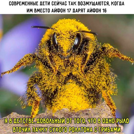 СОВРЕМЕННЫЕ ДЕТИ СЕЙЧАС ТАК ВОЗМУЩАЮТСЯ, КОГДА ИМ ВМЕСТО АЙФОН 17 ДАРЯТ АЙФОН 16
Я В ДЕТСТВЕ, ДОВОЛЬНЫЙ ОТ ТОГО, ЧТО В ОДНО РЫЛО ВТОЧИЛ ПАЧКУ СУХОГО РОЛЛТОНА С ГРИБАМИ