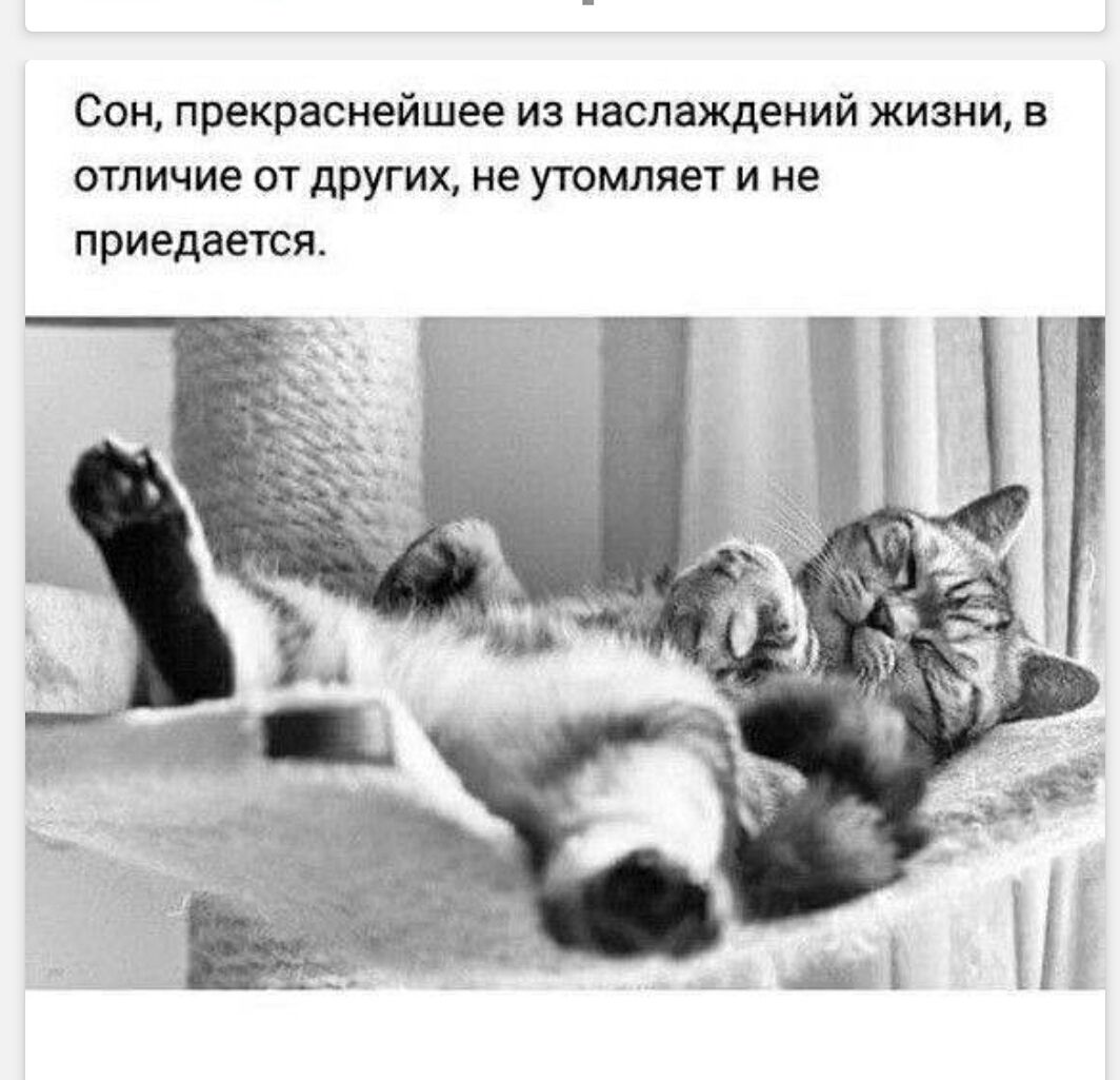 Сон, прекраснейшее из наслаждений жизни, в отличие от других, не утомляет и не приедается.