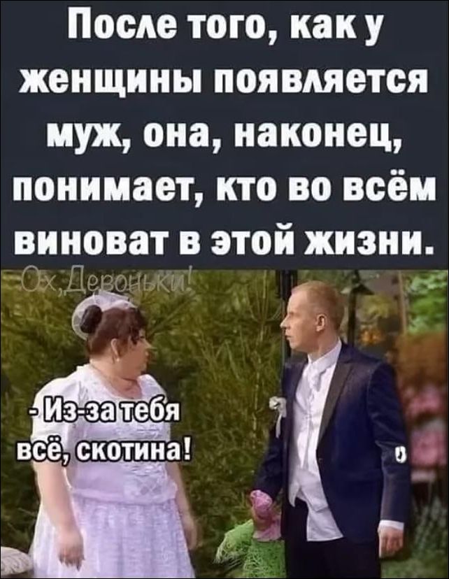 После того, как у женщины появляется муж, она, наконец, понимает, кто во всём виноват в этой жизни. Ох, Девоньки! - Из-за тебя всё, скотина!
