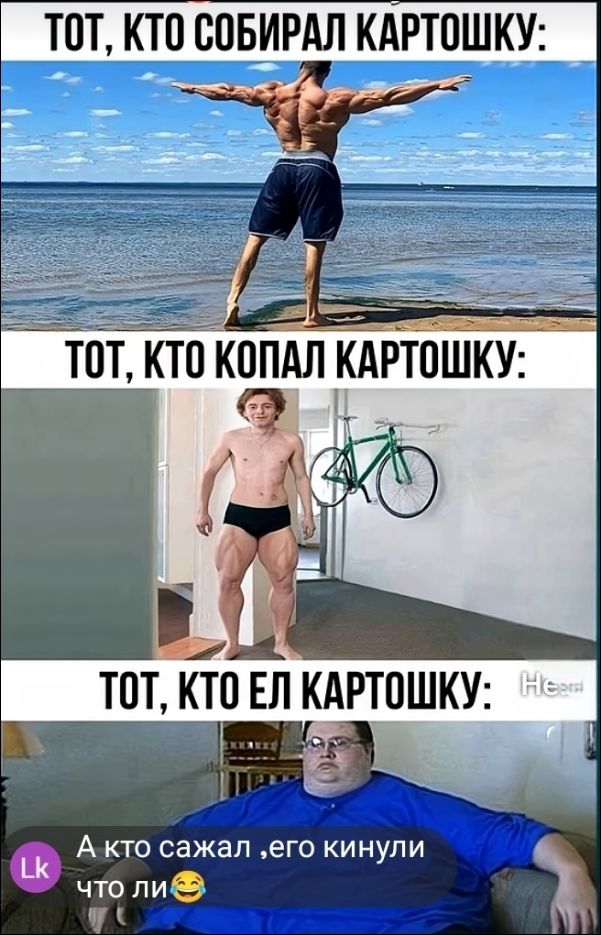 ТОТ, КТО СОБИРАЛ КАРТОШКУ:
ТОТ, КТО КОПАЛ КАРТОШКУ:
ТОТ, КТО ЕЛ КАРТОШКУ:
А кто сажал ,его кинули что ли🤣