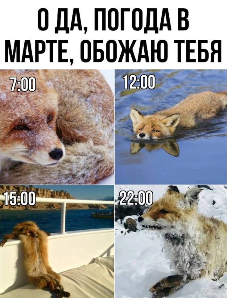 О ДА, ПОГОДА В МАРТЕ, ОБОЖАЮ ТЕБЯ
7:00
12:00
15:00
22:00