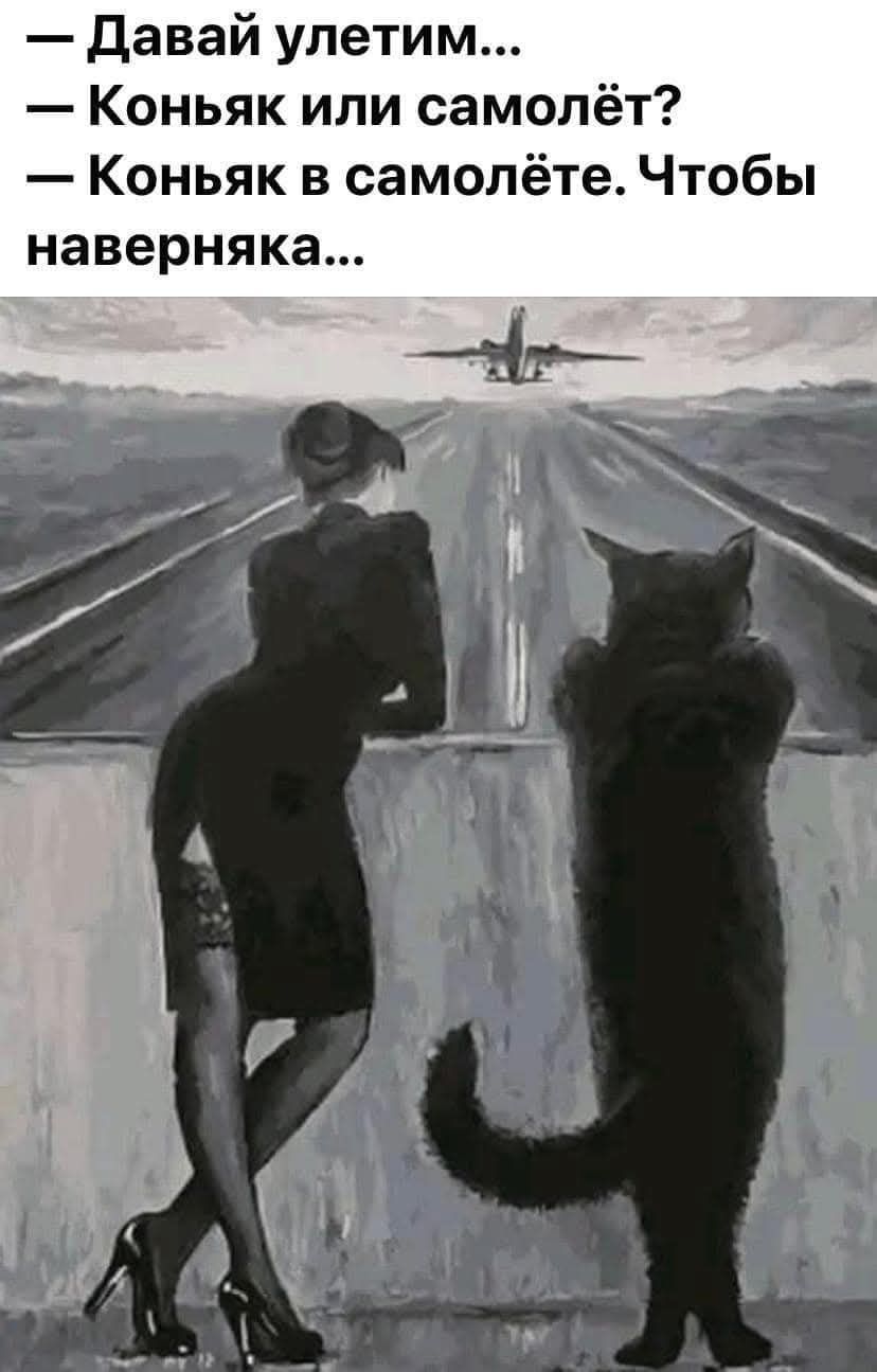 — Давай улетим...
— Коньяк или самолёт?
— Коньяк в самолёте. Чтобы наверняка...