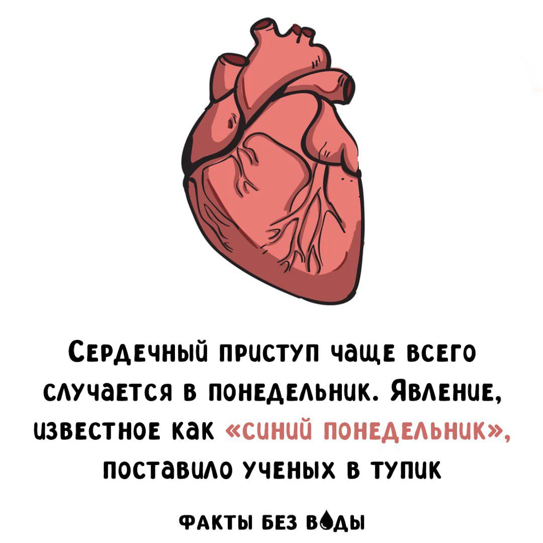 Сердечный приступ чаще всего случается в понедельник. Явление, известное как «синий понедельник», поставило ученых в тупик. Факты без воды