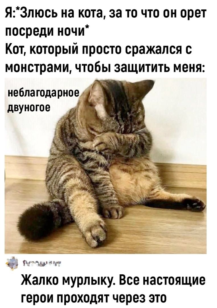 Я: *Злюсь на кота, за то что он орет посреди ночи*
Кот, который просто сражался с монстрами, чтобы защитить меня:
неблагодарное двуногое
Жалко мурлыку. Все настоящие герои проходят через это