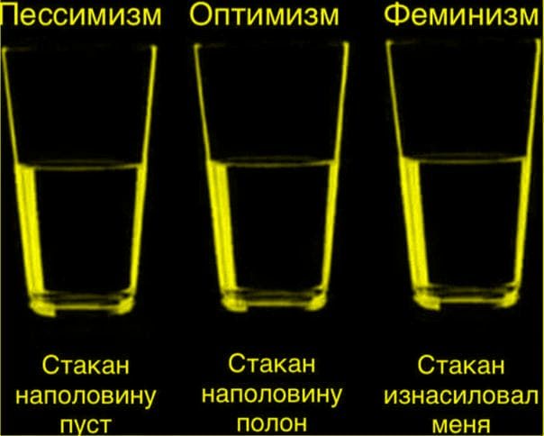 Пессимизм Оптимизм Феминизм Стакан наполовину пуст Стакан наполовину полон Стакан изнасиловал меня