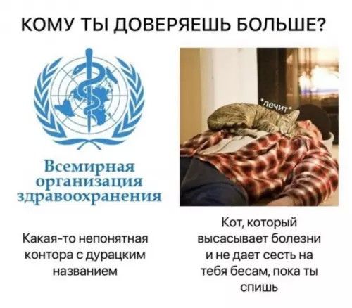 КОМУ ТЫ ДОВЕРЯЕШЬ БОЛЬШЕ?
Всемирная организация здравоохранения
Какая-то непонятная контора с дурацким названием
*лечит
Кот, который высасывает болезни и не дает сесть на тебя бесам, пока ты спишь