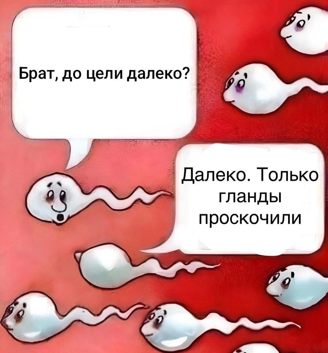 Брат, до цели далеко? Далеко. Только гланды проскочили