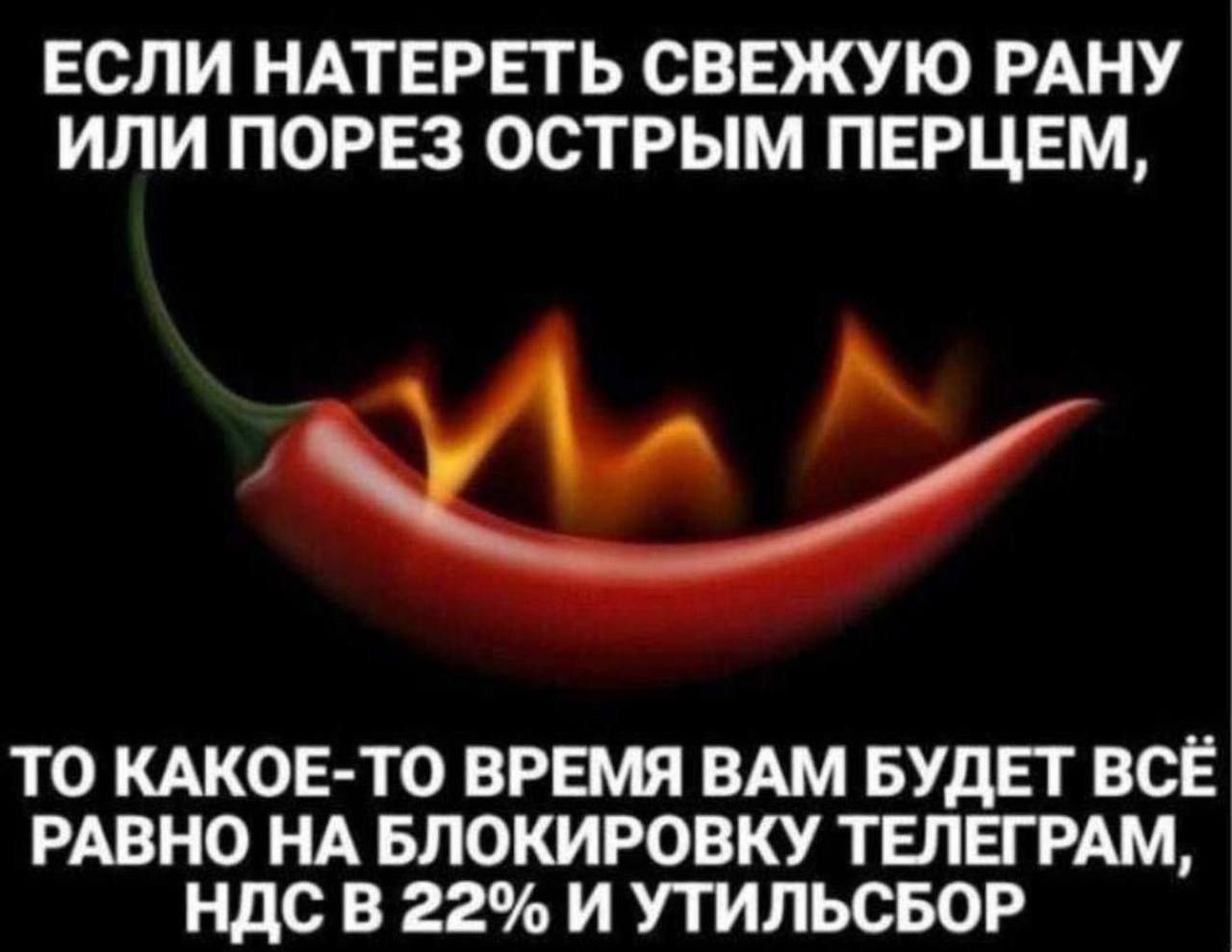 ЕСЛИ НАТЕРЕТЬ СВЕЖУЮ РАНУ ИЛИ ПОРЕЗ ОСТРЫМ ПЕРЦЕМ, ТО КАКОЕ-ТО ВРЕМЯ ВАМ БУДЕТ ВСЁ РАВНО НА БЛОКИРОВКУ ТЕЛЕГРАМ, НДС В 22% И УТИЛЬСБОР