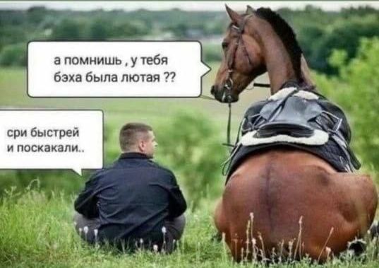 а помнишь, у тебя бэха была лютая ?? сри быстрей и поскакали..
