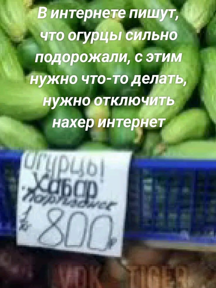 В интернете пишут, что огурцы сильно подорожали, с этим нужно что-то делать, нужно отключить нахер интернет. Огурцы Хабар 800