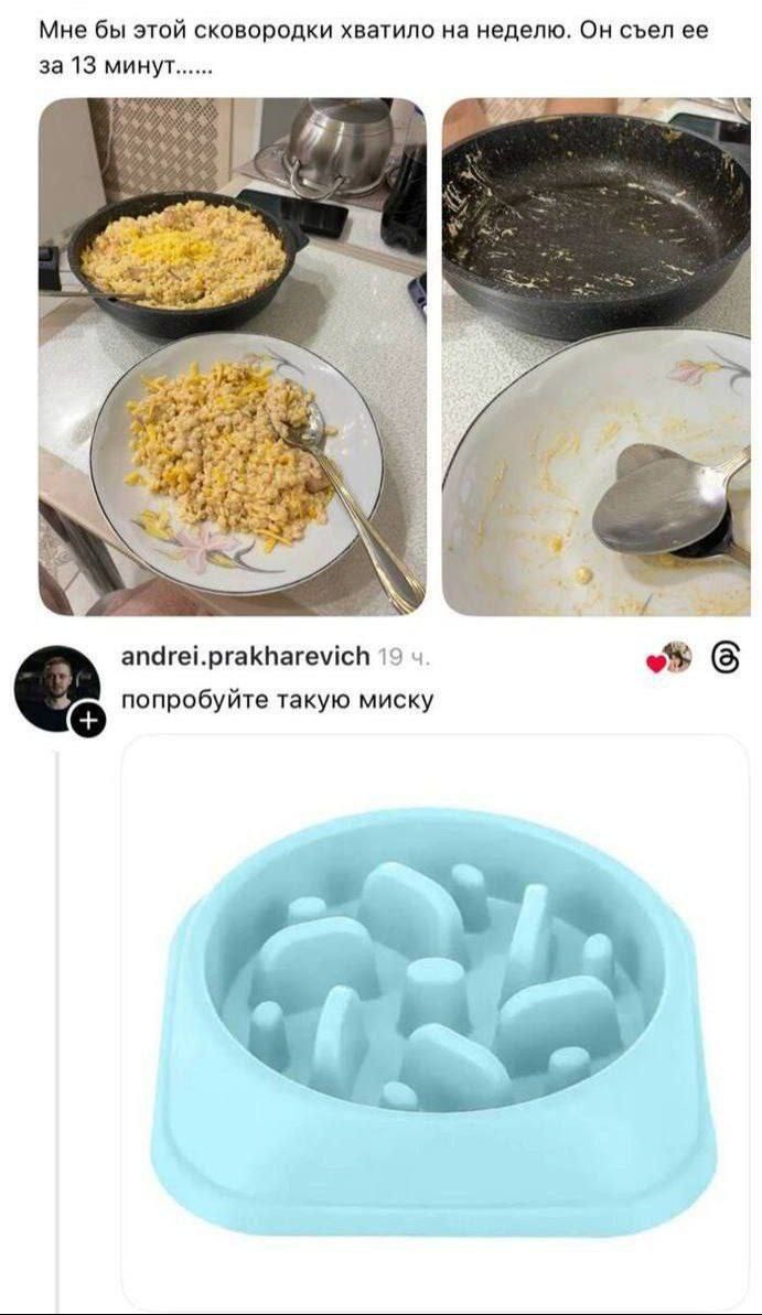 Мне бы этой сковородки хватило на неделю. Он съел ее за 13 минут......
попробуйте такую миску