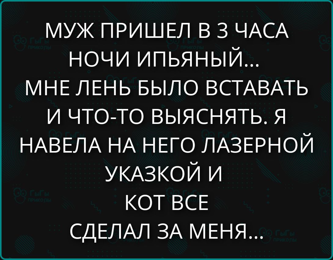МУЖ ПРИШЕЛ В З ЧАСА НОЧИ ИПЬЯНЫЙ... МНЕ ЛЕНЬ БЫЛО ВСТАВАТЬ И ЧТО-ТО ВЫЯСНЯТЬ. Я НАВЕЛА НА НЕГО ЛАЗЕРНОЙ УКАЗКОЙ И КОТ ВСЕ СДЕЛАЛ ЗА МЕНЯ...