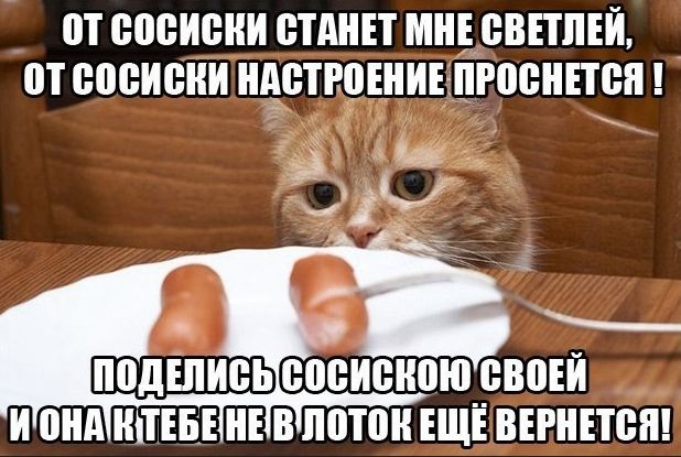 От сосиски станет мне светлей, от сосиски настроение проснётся! Поделись сосискою своей и она к тебе не в лоток ещё вернётся!