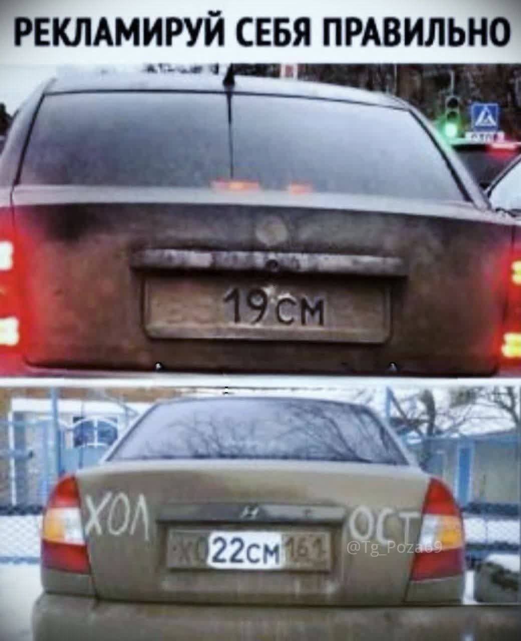 РЕКЛАМИРУЙ СЕБЯ ПРАВИЛЬНО
19см
ХОЛ
22см
ОСТ