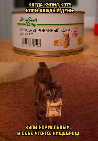 Когда купил коту корм каждый день:
Каждый День
Консервированный корм для кошек
4607043 105509
Купи нормальный и себе что-то, нищеброд!