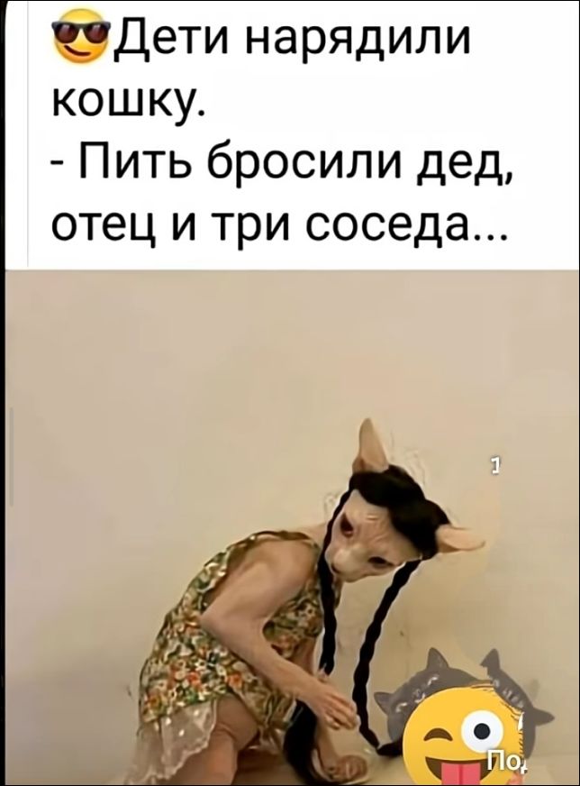 Дети нарядили кошку. - Пить бросили дед, отец и три соседа...