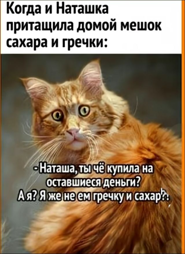 Когда и Наташка притащила домой мешок сахара и гречки:
- Наташа, ты чё купила на оставшиеся деньги?
А я? Я же не ем гречку и сахар?!