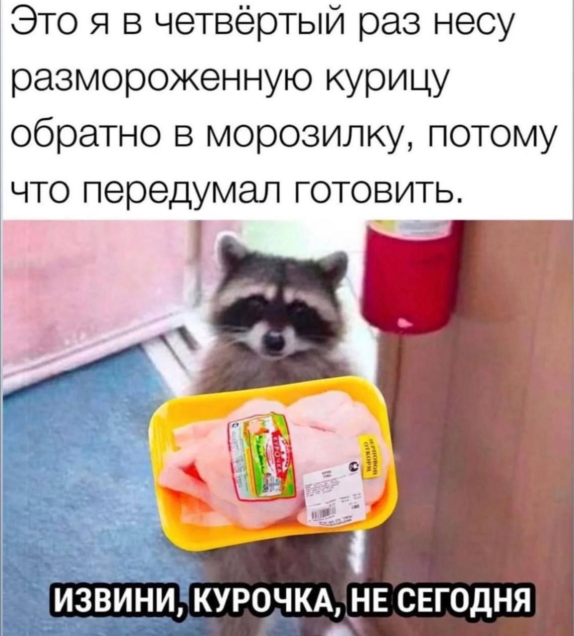 Это я в четвёртый раз несу размороженную курицу обратно в морозилку, потому что передумал готовить. Извини, курочка, не сегодня.