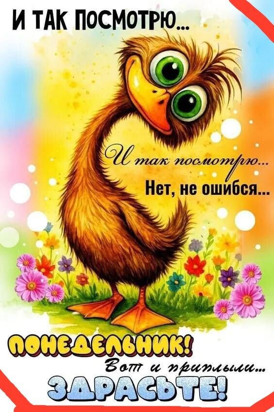 И так посмотрю... Нет, не ошибся... Понедельник! Вот и приплыли... Здрасьте!