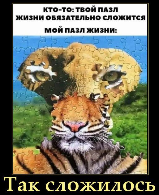 Кто-то: твой пазл жизни обязательно сложится
Мой пазл жизни:
Так сложилось