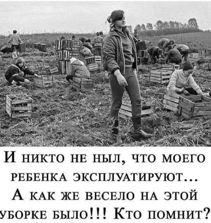 И никто не ныл, что моего ребенка эксплуатируют... А как же весело на этой уборке было!!! Кто помнит?