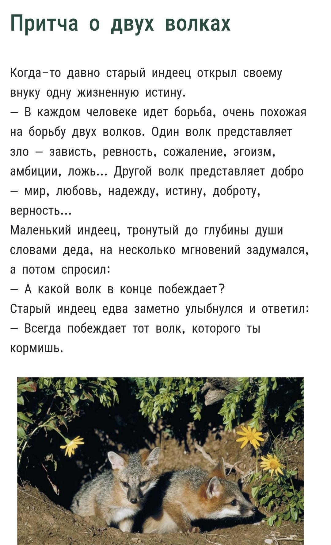 Притча о двух волках
Когда-то давно старый индеец открыл своему внуку одну жизненную истину.
– В каждом человеке идет борьба, очень похожая на борьбу двух волков. Один волк представляет зло – зависть, ревность, сожаление, эгоизм, амбиции, ложь... Другой волк представляет добро – мир, любовь, надежду, истину, доброту, верность...
Маленький индеец, т