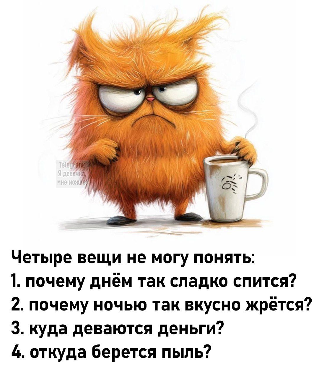 Telegram: Я девочка, мне можно! Четыре вещи не могу понять: 1. почему днём так сладко спится? 2. почему ночью так вкусно жрётся? 3. куда деваются деньги? 4. откуда берется пыль?