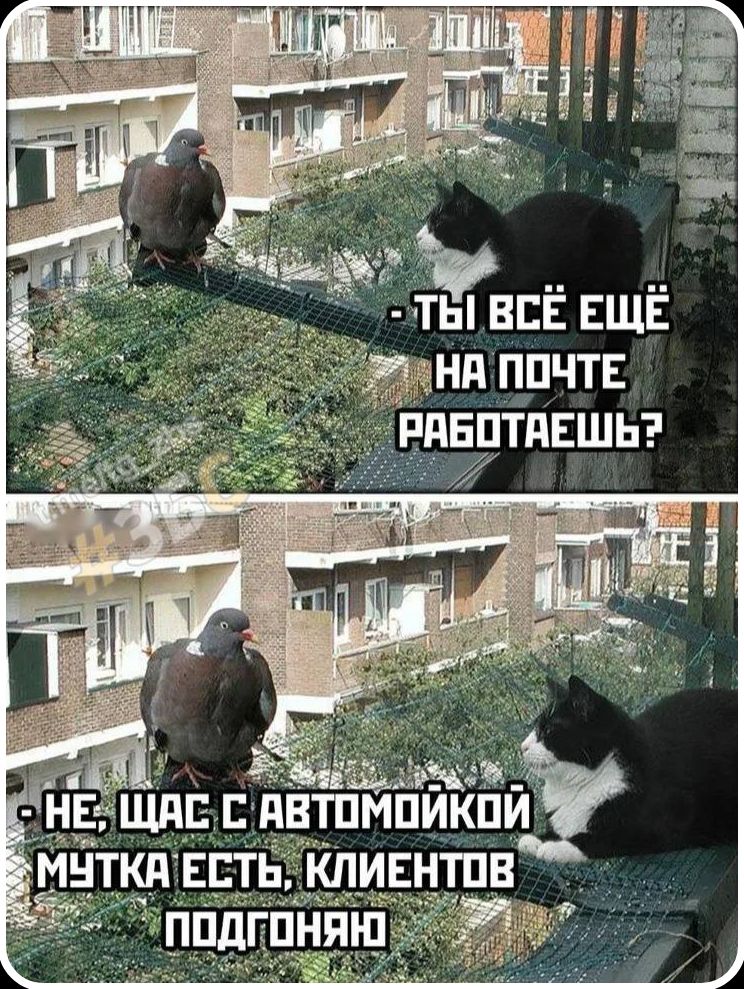 ТЫ ВСЁ ЕЩЁ НА ПОЧТЕ РАБОТАЕШЬ? НЕ, ЩАС С АВТОМОЙКОЙ МУТКА ЕСТЬ, КЛИЕНТОВ ПОДГОНЯЮ