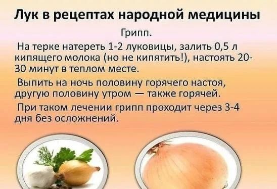 Лук в рецептах народной медицины. Грипп. На терке натереть 1-2 луковицы, залить 0,5 л кипящего молока (но не кипятить!), настоять 20-30 минут в теплом месте. Выпить на ночь половину горячего настоя, другую половину утром — также горячей. При таком лечении грипп проходит через 3-4 дня без осложнений.