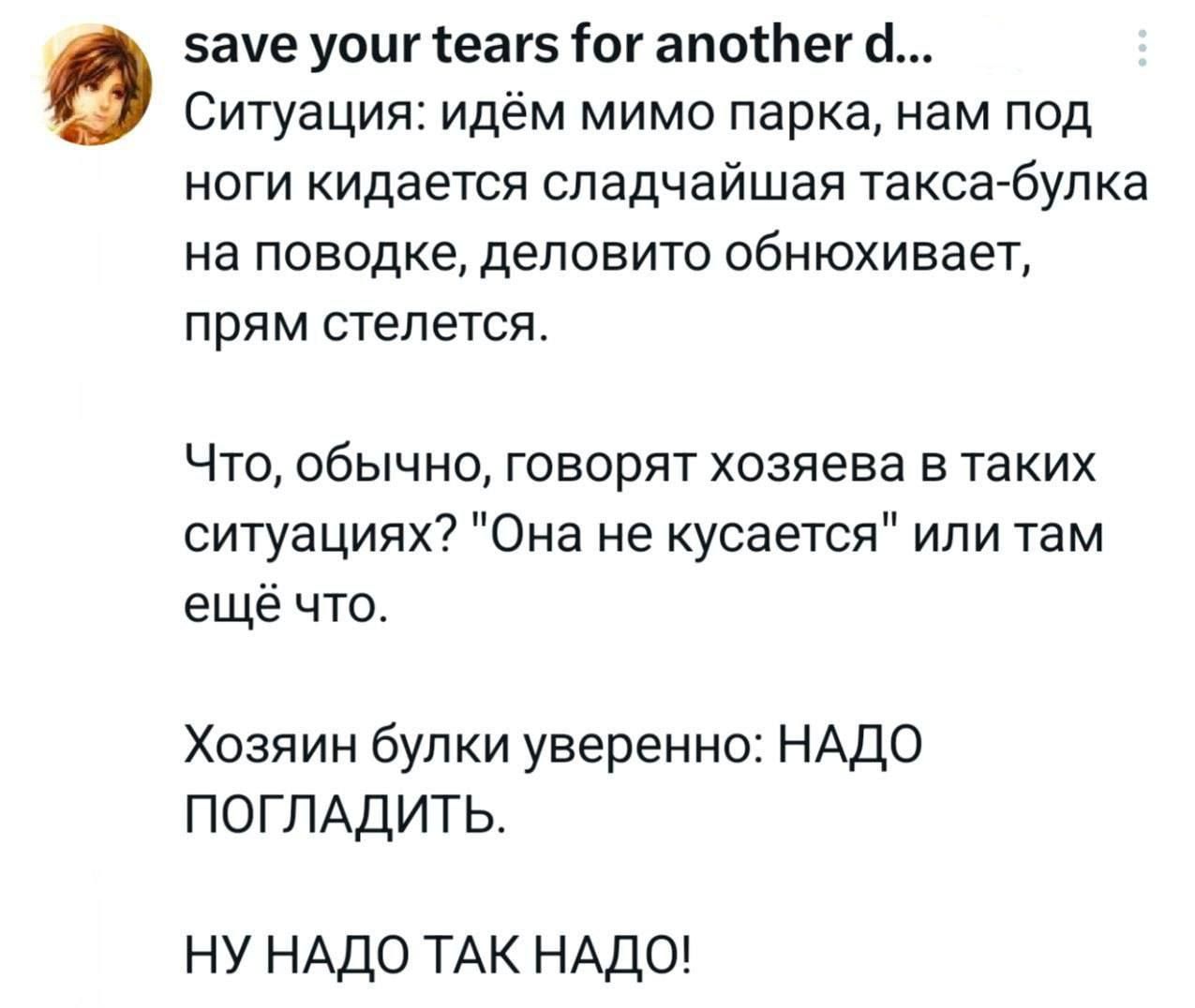 save your tears for another d... Ситуация: идём мимо парка, нам под ноги кидается сладчайшая такса-булка на поводке, деловито обнюхивает, прям стелется. Что, обычно, говорят хозяева в таких ситуациях? 