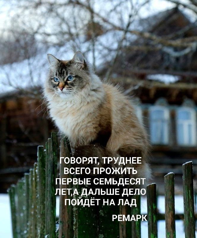 ГОВОРЯТ, ТРУДНЕЕ ВСЕГО ПРОЖИТЬ ПЕРВЫЕ СЕМЬДЕСЯТ ЛЕТ, А ДАЛЬШЕ ДЕЛО ПОЙДЁТ НА ЛАД РЕМАРК