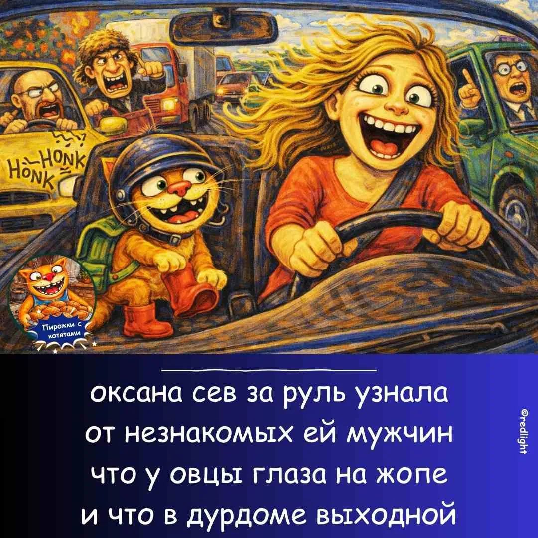 HONK HONK. Пирожки с котятами. ОКСАНА СЕВ ЗА РУЛЬ УЗНАЛА ОТ НЕЗНАКОМЫХ ЕЙ МУЖЧИН ЧТО У ОВЦЫ ГЛАЗА НА ЖОПЕ И ЧТО В ДУРДОМЕ ВЫХОДНОЙ
