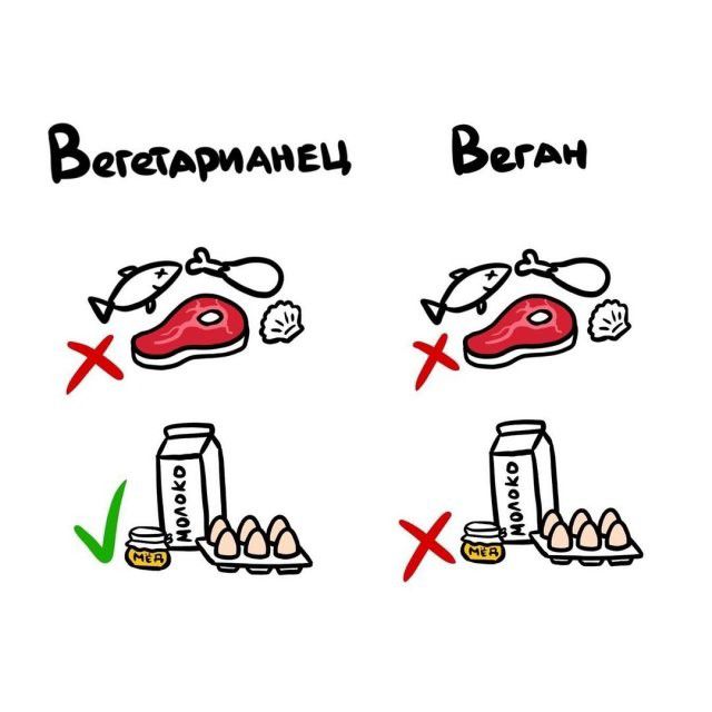 Вегетарианец Веган Молоко Мед