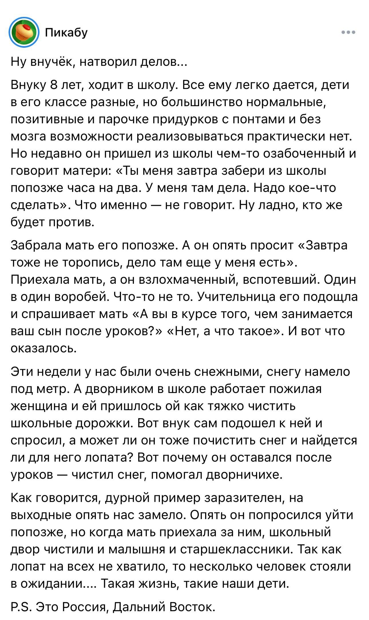 Пикабу
Ну внучёк, натворил делов...
Внуку 8 лет, ходит в школу. Все ему легко дается, дети в его классе разные, но большинство нормальные, позитивные и парочке придурков с понтами и без мозга возможности реализовываться практически нет.
Но недавно он пришел из школы чем-то озабоченный и говорит матери: «Ты меня завтра забери из школы попозже часа н