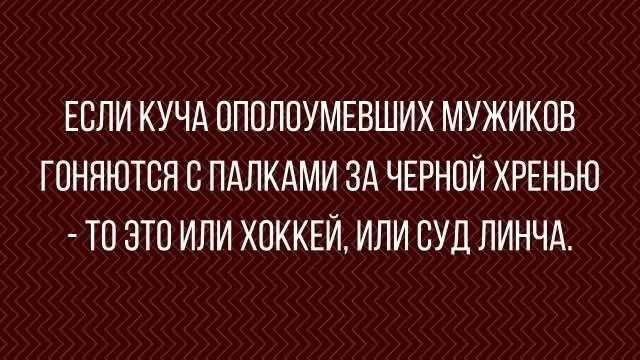 ЕСЛИ КУЧА ОПОЛОУМЕВШИХ МУЖИКОВ ГОНЯЮТСЯ С ПАЛКАМИ ЗА ЧЕРНОЙ ХРЕНЬЮ - ТО ЭТО ИЛИ ХОККЕЙ, ИЛИ СУД ЛИНЧА.