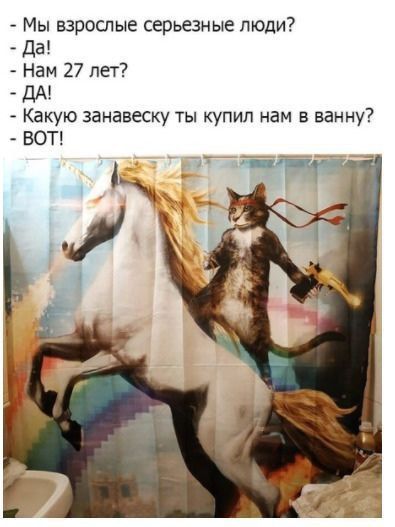 - Мы взрослые серьезные люди?
- Да!
- Нам 27 лет?
- ДА!
- Какую занавеску ты купил нам в ванну?
- ВОТ!