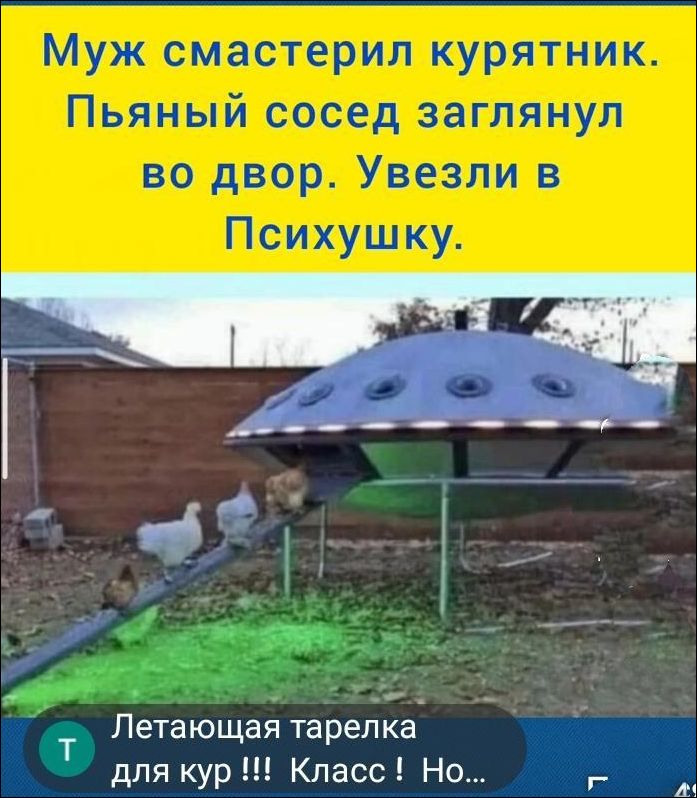 Муж смастерил курятник. Пьяный сосед заглянул во двор. Увезли в Психушку. Летающая тарелка для кур !!! Класс ! Но...