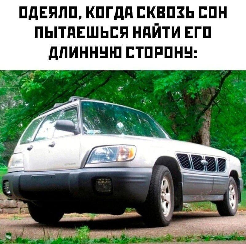 ОДЕЯЛО, КОГДА СКВОЗЬ СОН ПЫТАЕШЬСЯ НАЙТИ ЕГО ДЛИННУЮ СТОРОНУ: