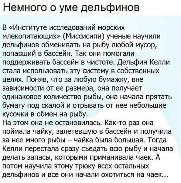 Немного о уме дельфинов
В «Институте исследований морских млекопитающих» (Миссисипи) ученые научили дельфинов обменивать на рыбу любой мусор, попавший в бассейн. Так они помогали поддерживать бассейн в чистоте. Дельфин Келли стала использовать эту систему в собственных целях. Поняв, что за любую бумажку, вне зависимости от ее размера, она получает 