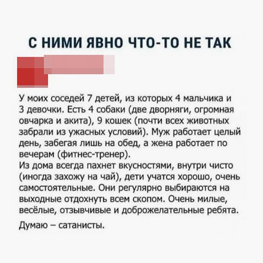 С НИМИ ЯВНО ЧТО-ТО НЕ ТАК У моих соседей 7 детей, из которых 4 мальчика и 3 девочки. Есть 4 собаки (две дворняги, огромная овчарка и акита), 9 кошек (почти всех животных забрали из ужасных условий). Муж работает целый день, забегая лишь на обед, а жена работает по вечерам (фитнес-тренер). Из дома всегда пахнет вкусностями, внутри чисто (иногда захо