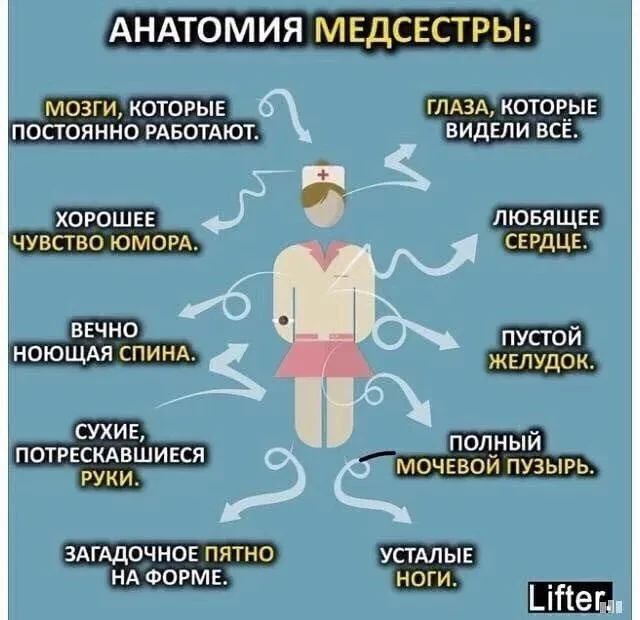 АНАТОМИЯ МЕДСЕСТРЫ: МОЗГИ, КОТОРЫЕ ПОСТОЯННО РАБОТАЮТ. ХОРОШЕЕ ЧУВСТВО ЮМОРА. ВЕЧНО НОЮЩАЯ СПИНА. СУХИЕ, ПОТРЕСКАВШИЕСЯ РУКИ. ЗАГАДОЧНОЕ ПЯТНО НА ФОРМЕ. ГЛАЗА, КОТОРЫЕ ВИДЕЛИ ВСЁ. ЛЮБЯЩЕЕ СЕРДЦЕ. ПУСТОЙ ЖЕЛУДОК. ПОЛНЫЙ МОЧЕВОЙ ПУЗЫРЬ. УСТАЛЫЕ НОГИ.